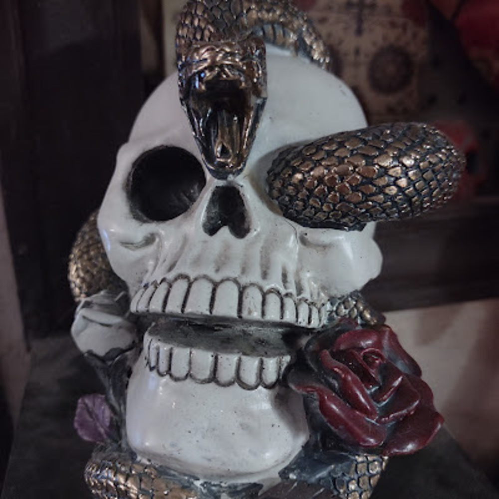 Meet your Posher, Joe